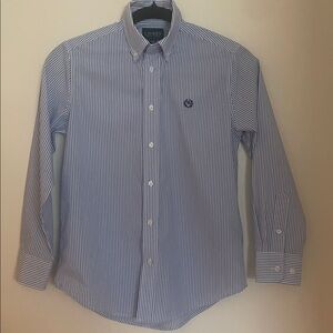 Ralph Lauren Blue Striped Button-Down Shirt